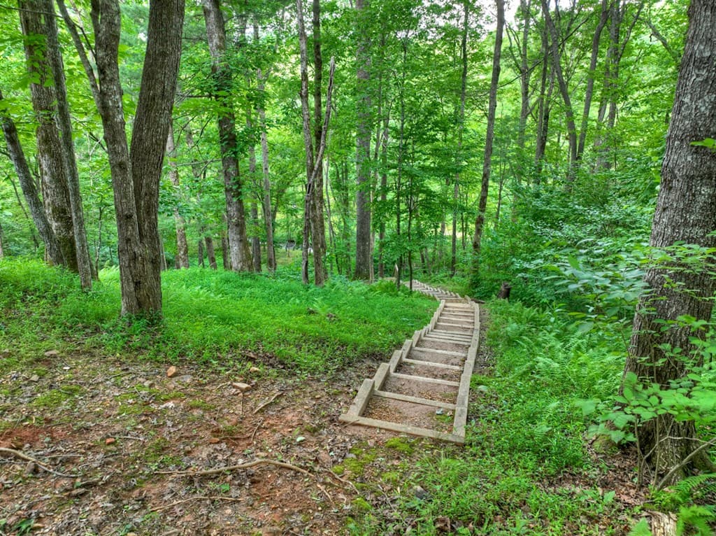 316 Pigeon Creek Road, Blue Ridge GA 30513 - Photo