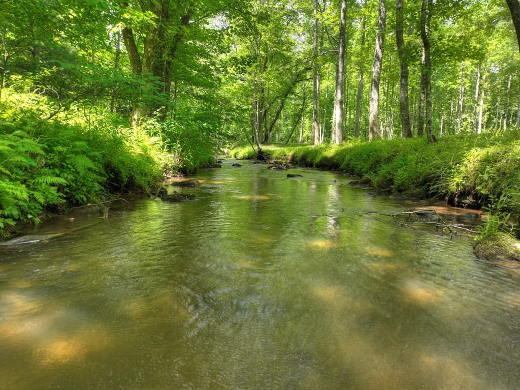 316 Pigeon Creek Road, Blue Ridge GA 30513 - Photo