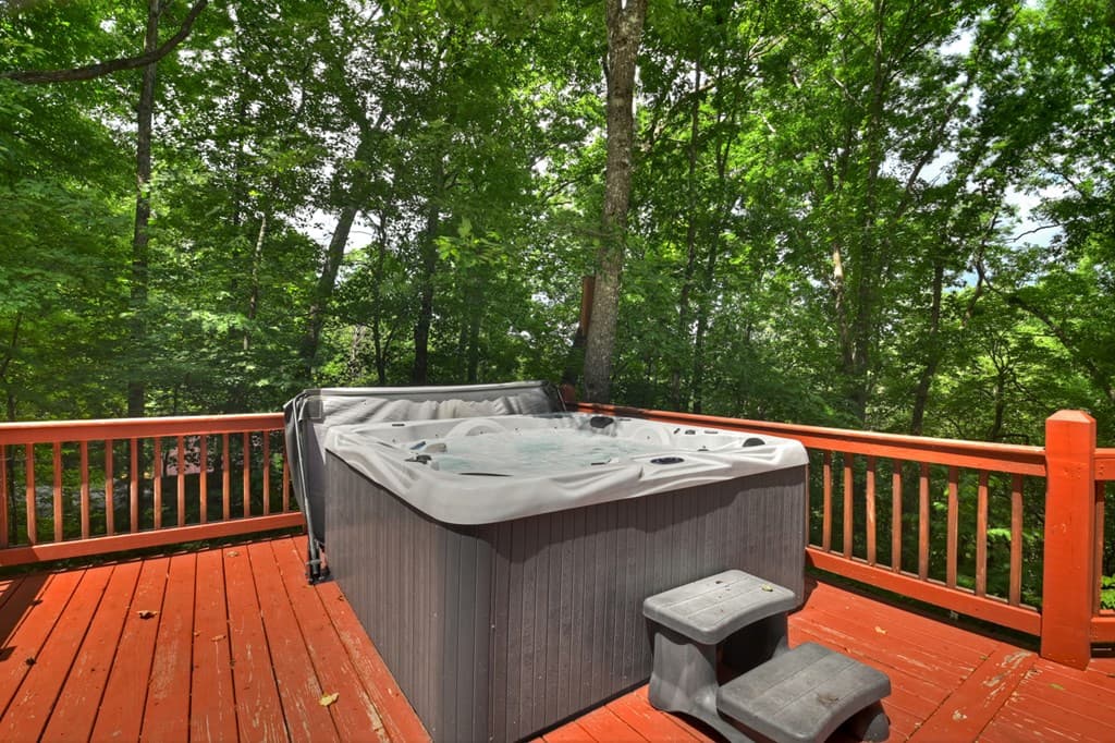 316 Pigeon Creek Road, Blue Ridge GA 30513 - Photo