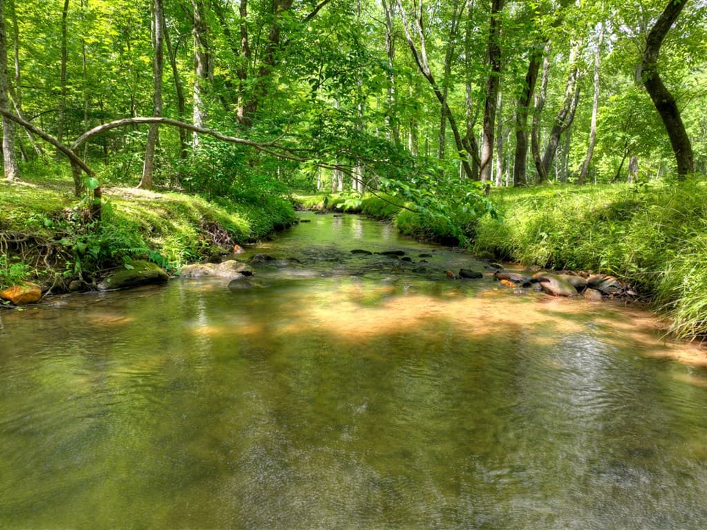 316 Pigeon Creek Road, Blue Ridge GA 30513 - Photo