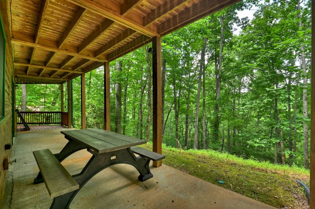 316 Pigeon Creek Road, Blue Ridge GA 30513 - Photo