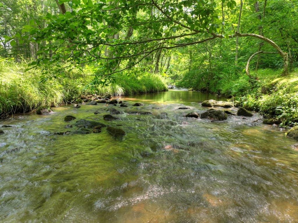 316 Pigeon Creek Road, Blue Ridge GA 30513 - Photo
