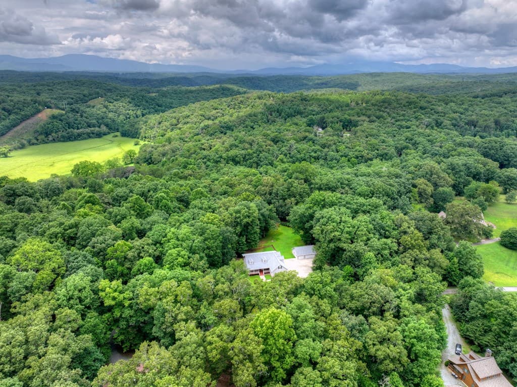 226 Bailey Farm Drive, Mineral Bluff GA 30559 - Photo