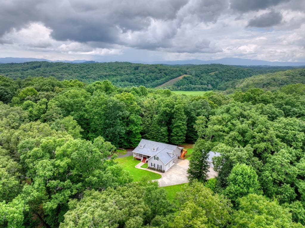 226 Bailey Farm Drive, Mineral Bluff GA 30559 - Photo