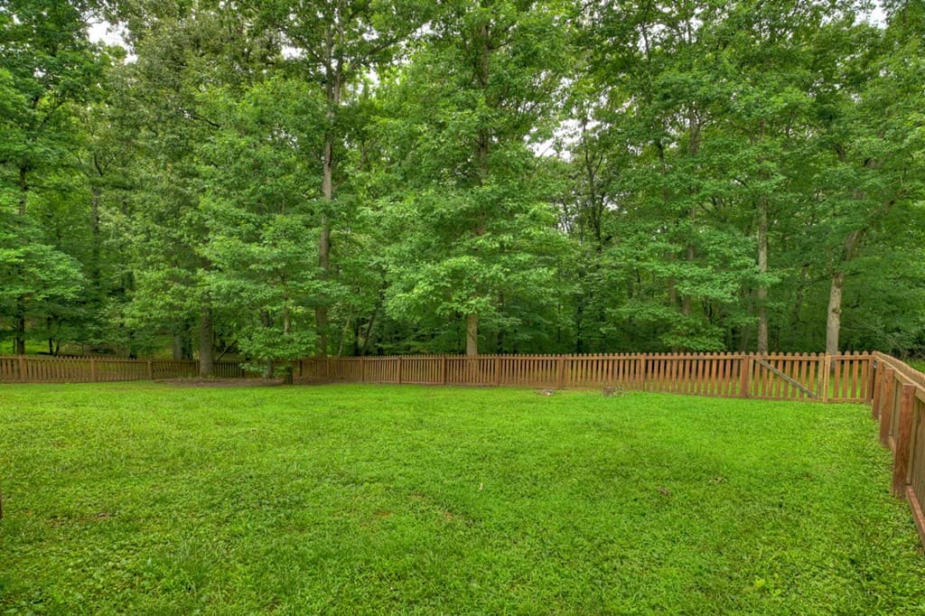 226 Bailey Farm Drive, Mineral Bluff GA 30559 - Photo
