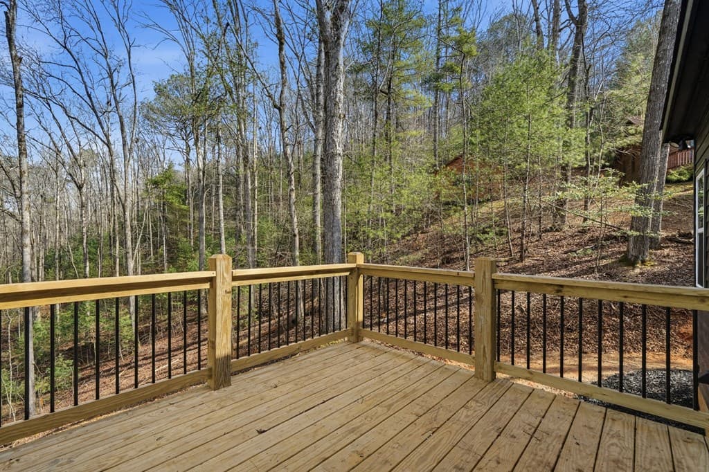 890 Joliet Drive, Ellijay GA 30540 - Photo