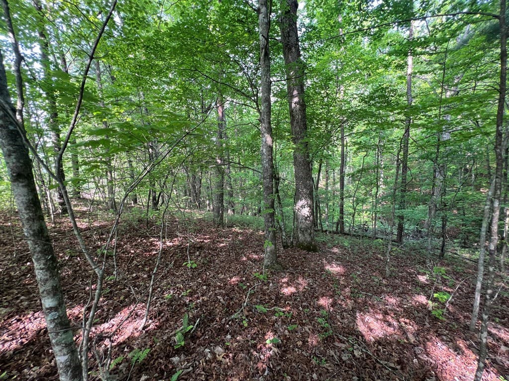 9 + Acre Leonard Lane, Murphy NC 28906 - Photo