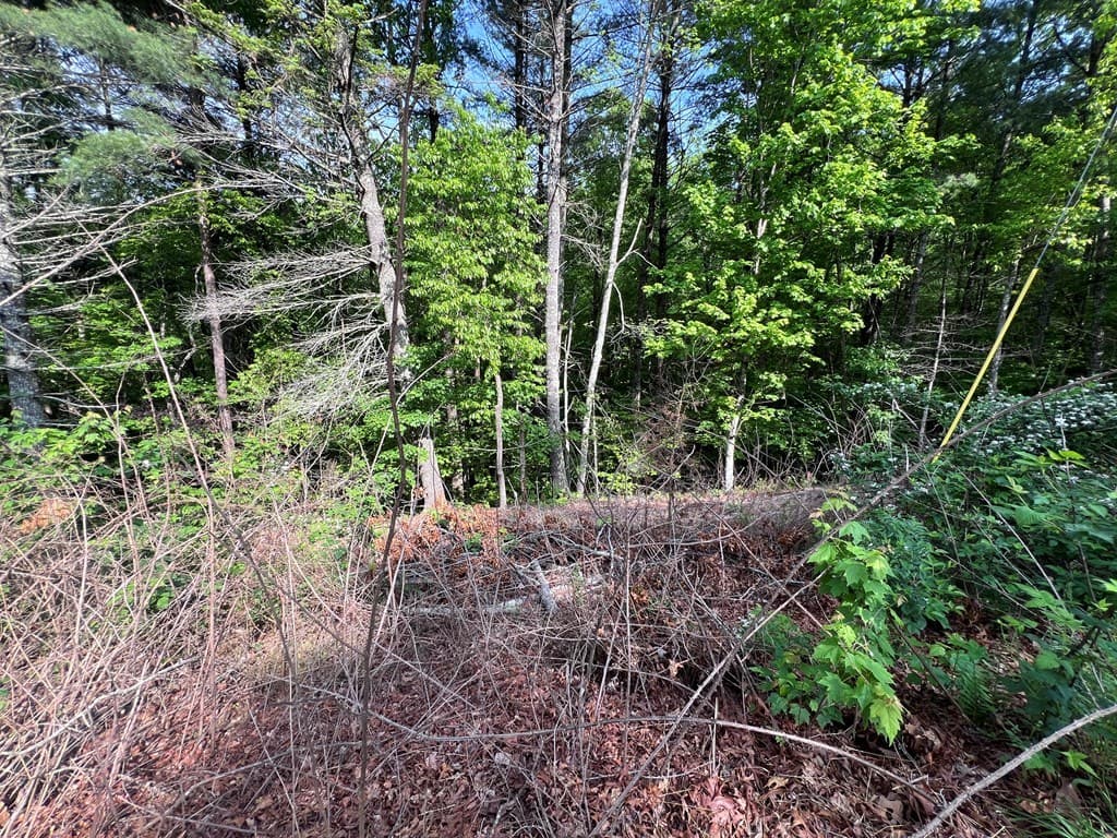 9 + Acre Leonard Lane, Murphy NC 28906 - Photo