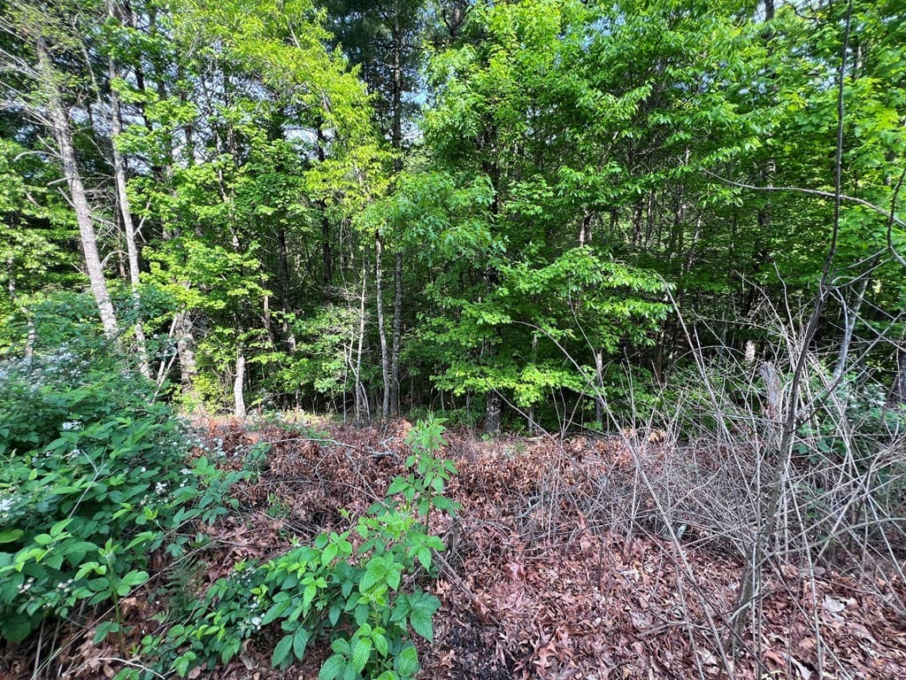 9 + Acre Leonard Lane, Murphy NC 28906 - Photo