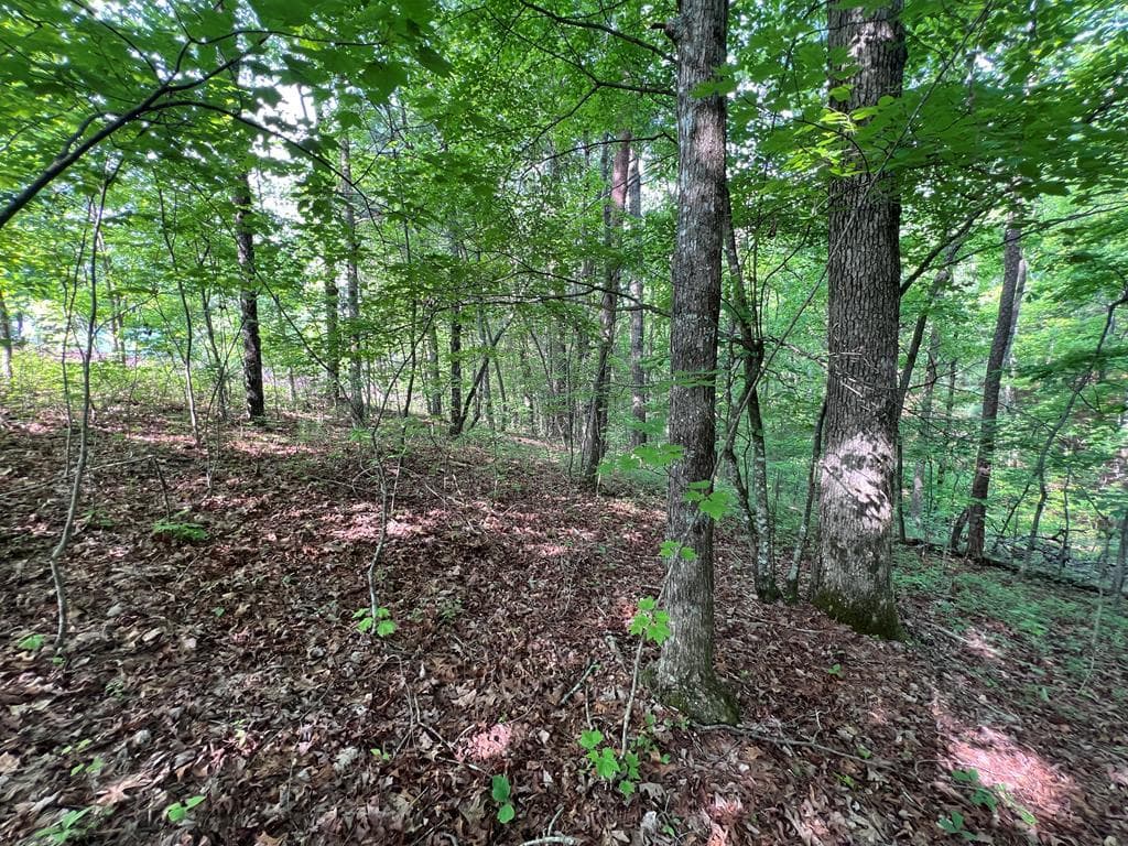 9 + Acre Leonard Lane, Murphy NC 28906 - Primary photo