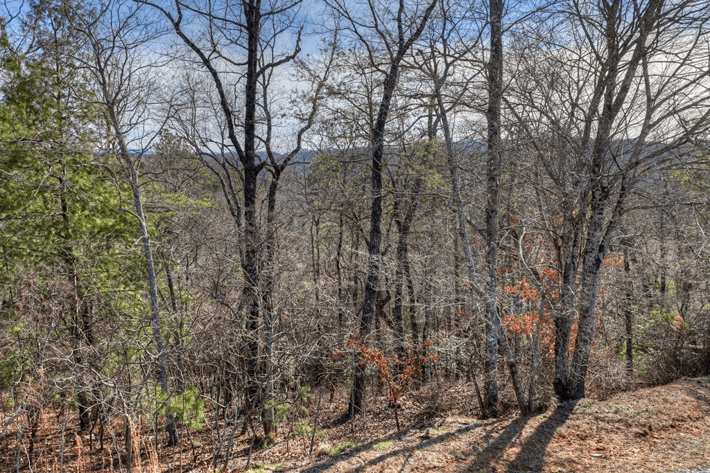 Lot 112 Fawn Way, Mineral Bluff GA 30536 - Photo