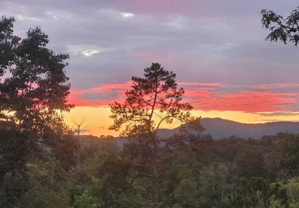 1046 Crossroads Church Road, Ellijay GA 30540 - Photo