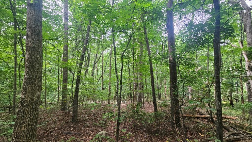 90 Quail Way, Jasper GA 30143 - Photo