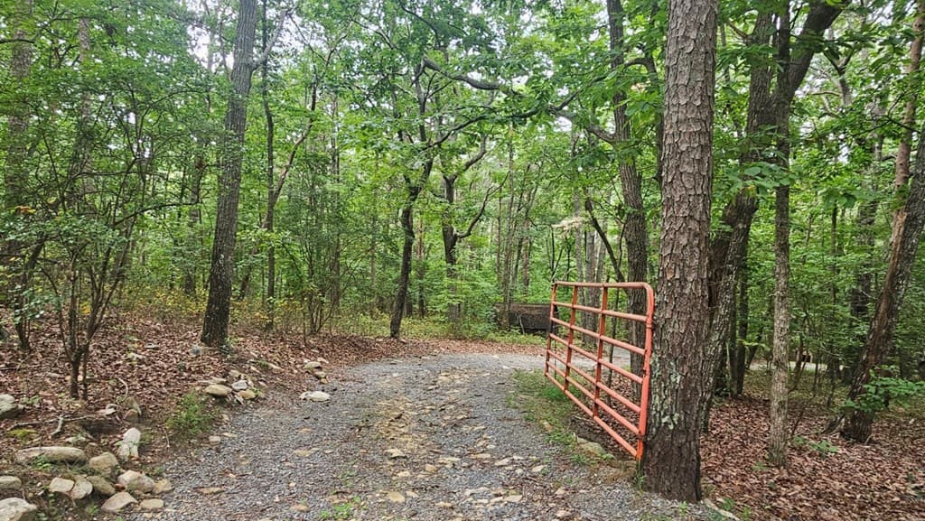 90 Quail Way, Jasper GA 30143 - Photo