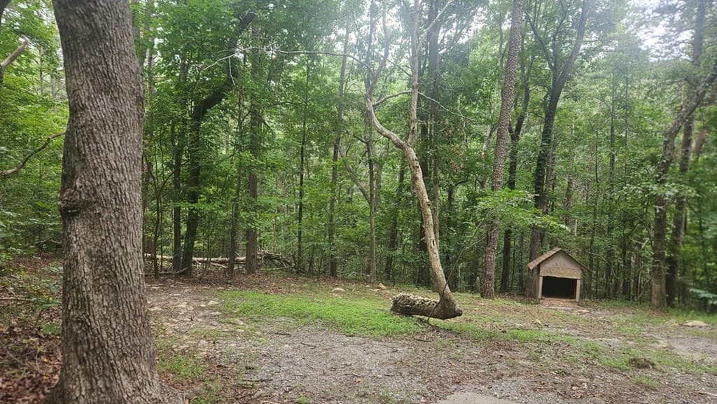 90 Quail Way, Jasper GA 30143 - Photo