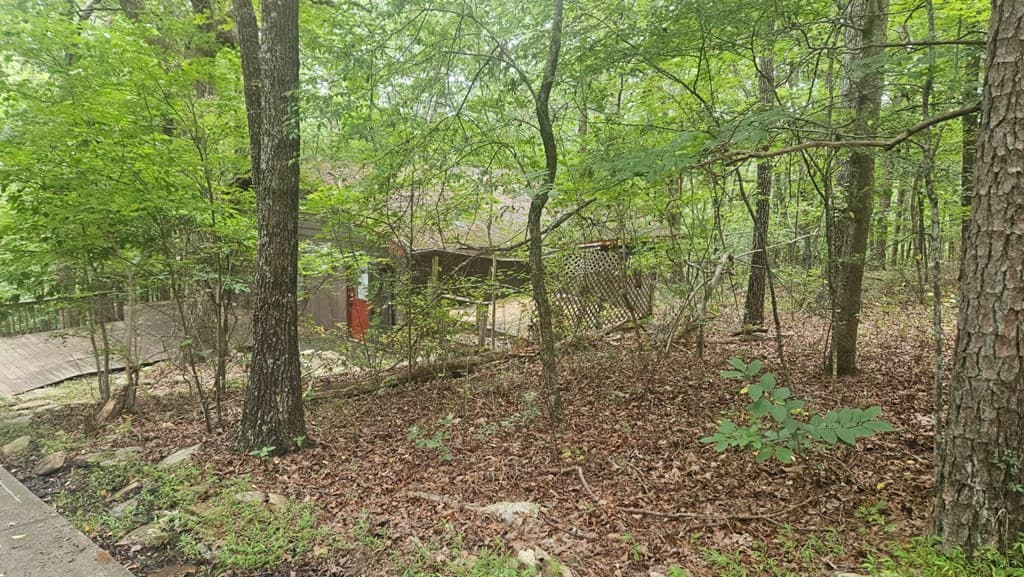 90 Quail Way, Jasper GA 30143 - Photo