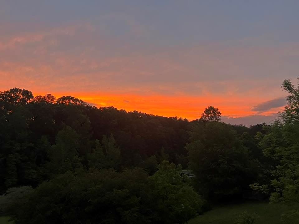 131 Talona Lake Terrace, Ellijay GA 30536 - Photo