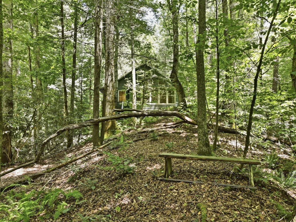 788 Joann Sisson Road, Blue Ridge GA 30522 - Photo