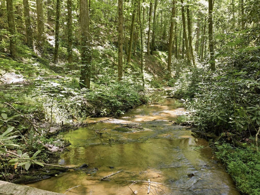 788 Joann Sisson Road, Blue Ridge GA 30522 - Photo