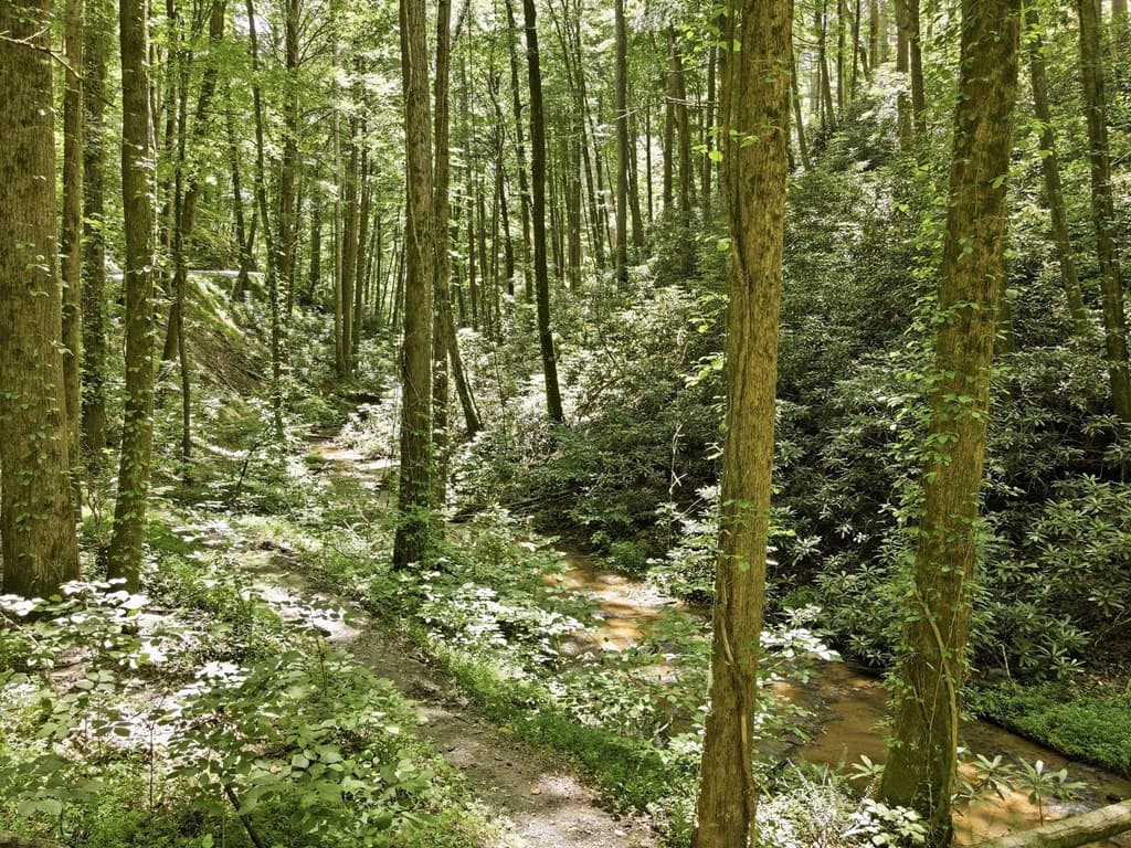 788 Joann Sisson Road, Blue Ridge GA 30522 - Photo