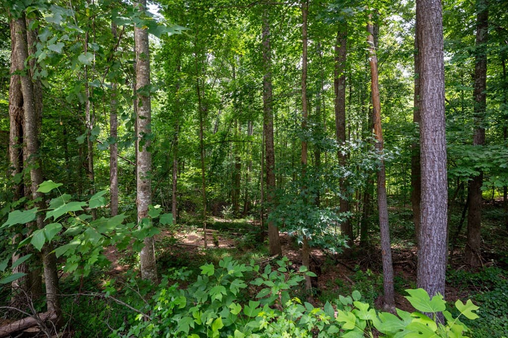 531 Philadelphia Drive, Jasper GA 30143 - Photo