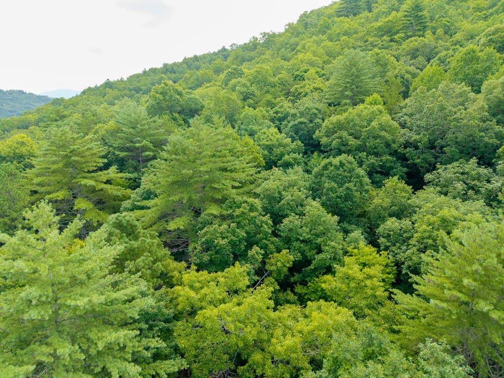 0 Smith Hollow Drive, Murphy NC 28906 - Photo
