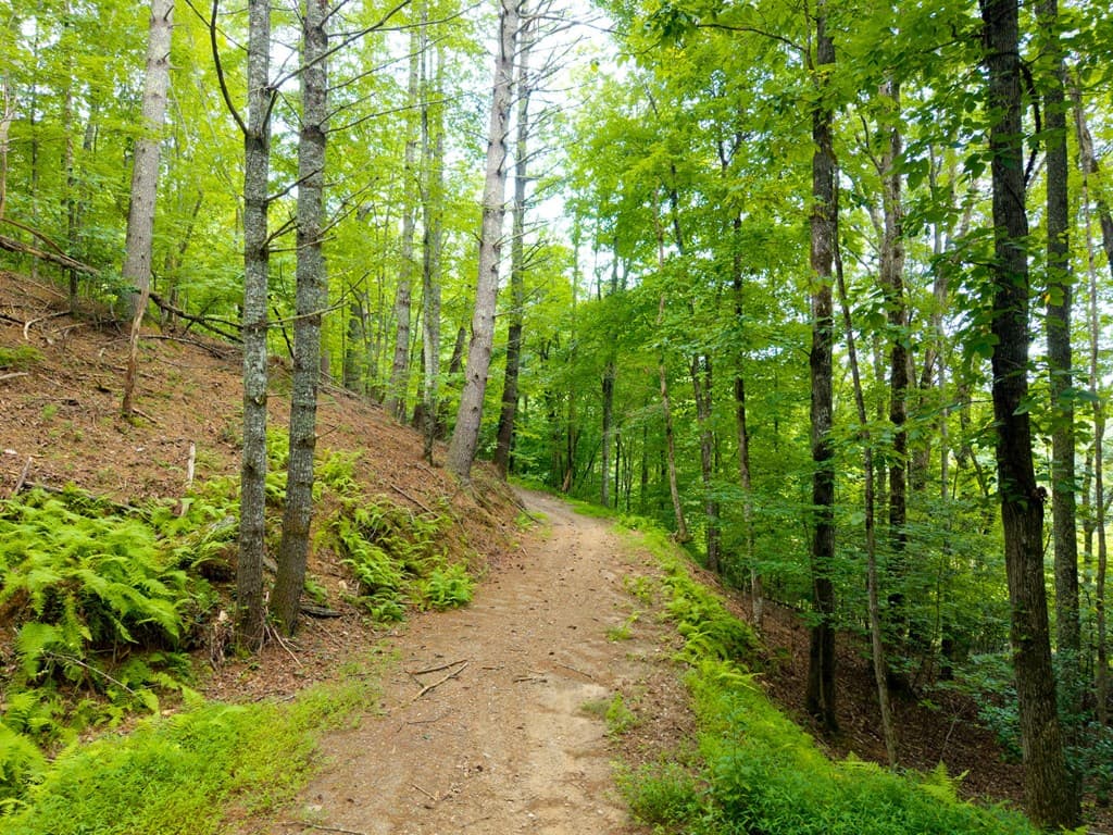 0 Smith Hollow Drive, Murphy NC 28906 - Photo