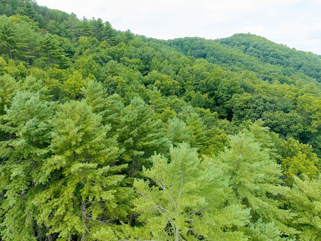 0 Smith Hollow Drive, Murphy NC 28906 - Photo