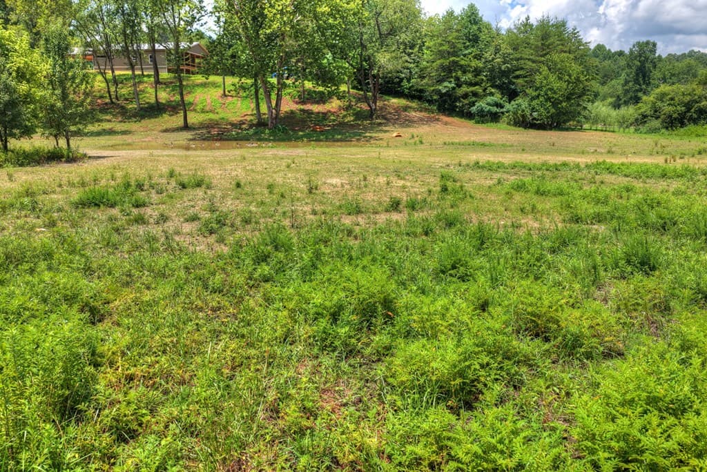 2125 Shady Grove Road, Murphy NC 28906 - Photo