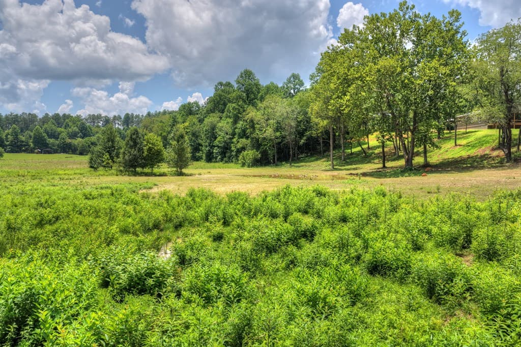 2125 Shady Grove Road, Murphy NC 28906 - Photo