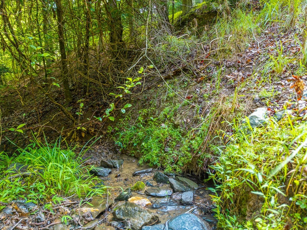 6 Spalding Court, Ellijay GA 30540 - Photo
