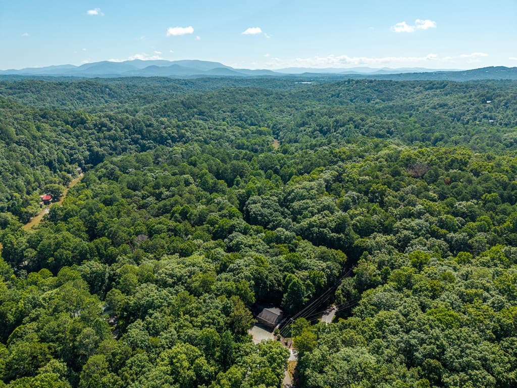 6 Spalding Court, Ellijay GA 30540 - Photo