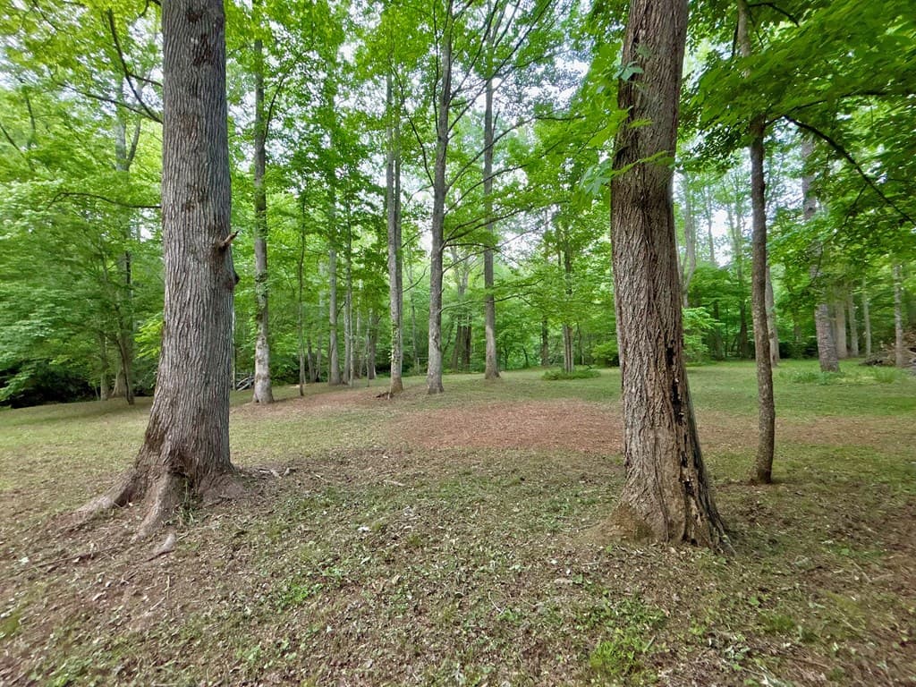 Lt 5 Spiva Cove Road, Blairsville GA 30512 - Photo