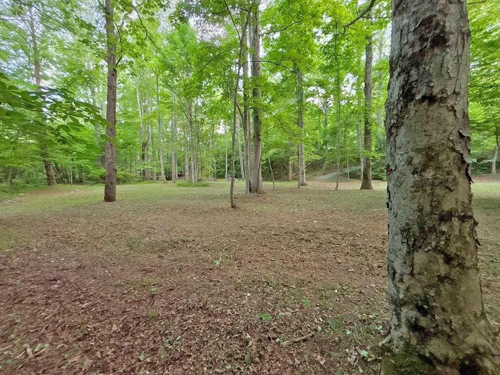 Lt 5 Spiva Cove Road, Blairsville GA 30512 - Photo