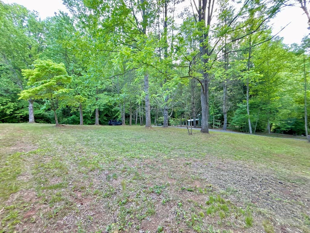 Lt 5 Spiva Cove Road, Blairsville GA 30512 - Photo