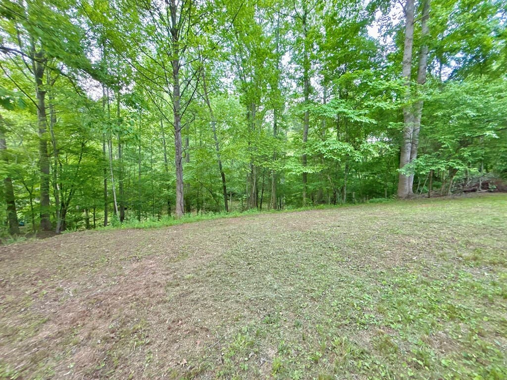 Lt 5 Spiva Cove Road, Blairsville GA 30512 - Photo