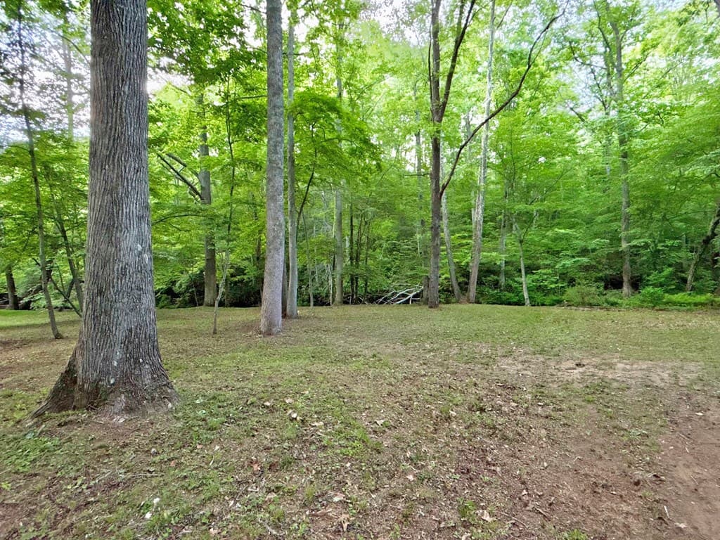 Lt 5 Spiva Cove Road, Blairsville GA 30512 - Photo