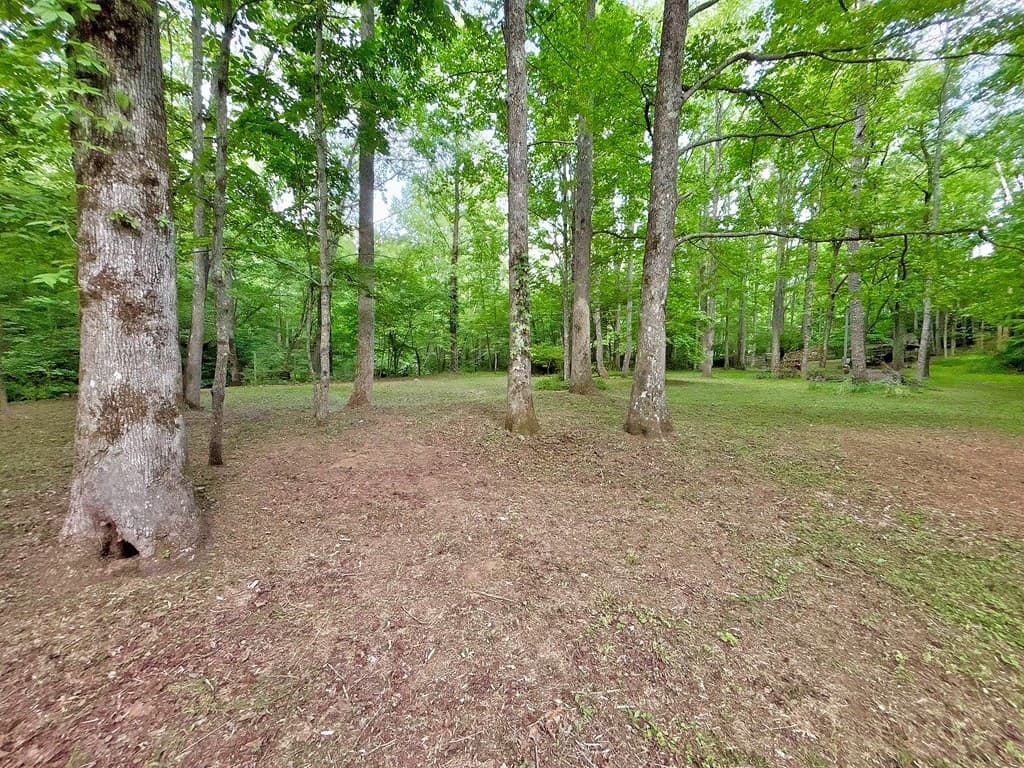 Lt 5 Spiva Cove Road, Blairsville GA 30512 - Photo