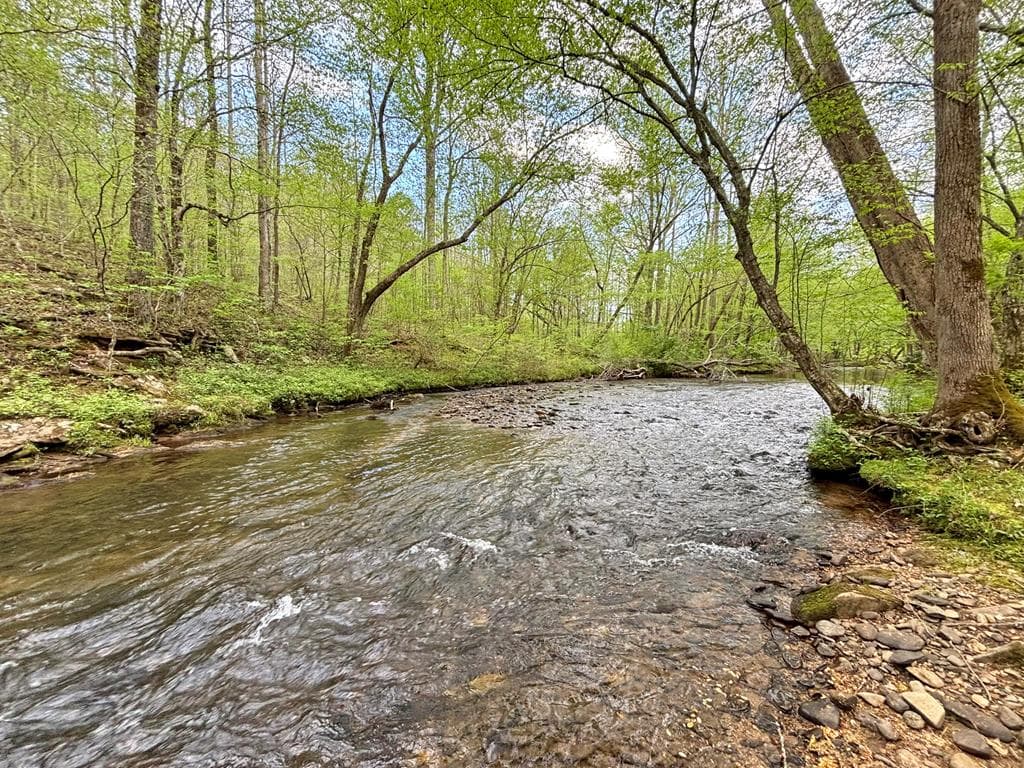 Lt 5 Spiva Cove Road, Blairsville GA 30512 - Primary photo