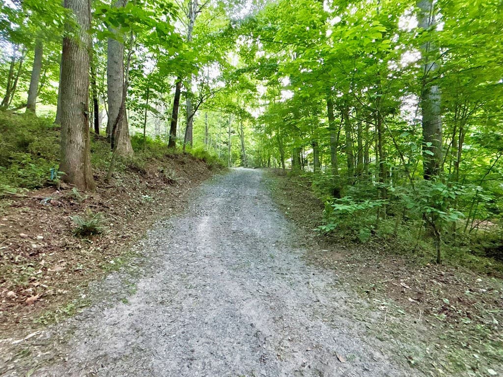 Lt 5 Spiva Cove Road, Blairsville GA 30512 - Photo