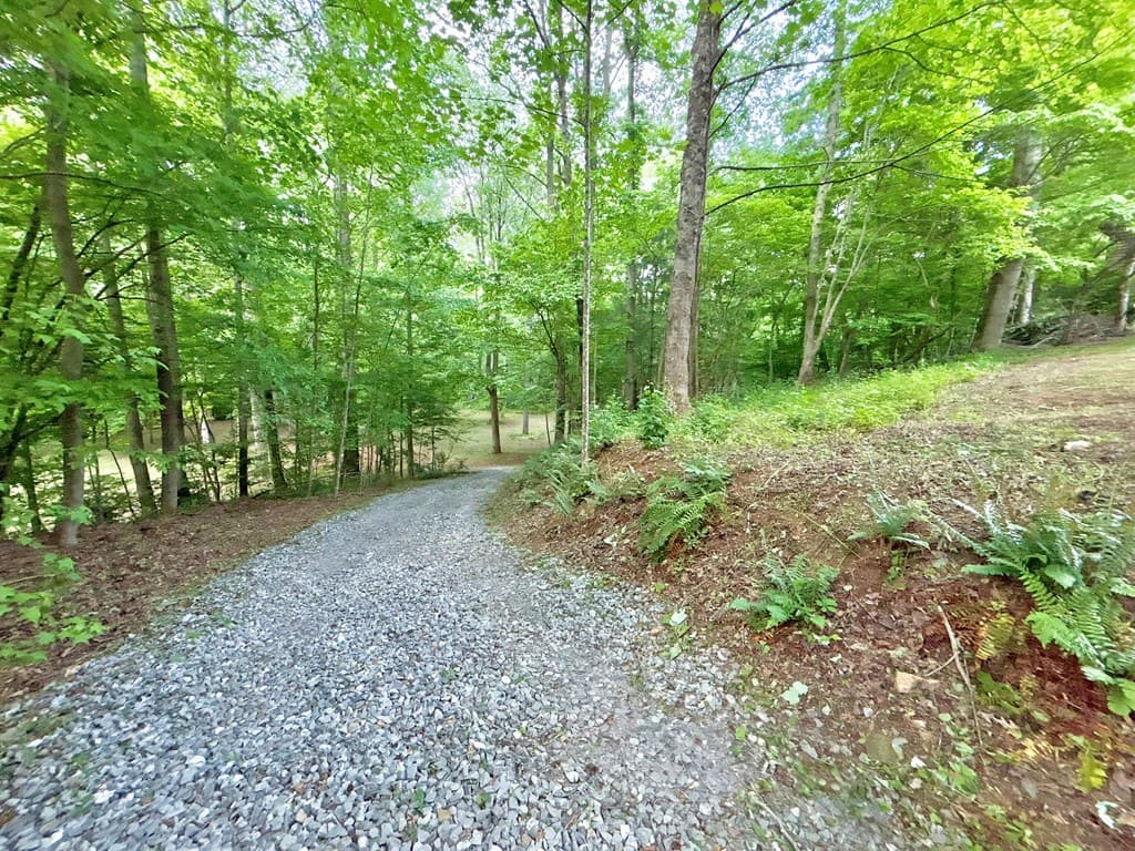Lt 5 Spiva Cove Road, Blairsville GA 30512 - Photo