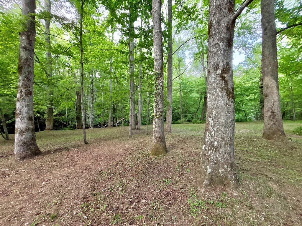 Lt 5 Spiva Cove Road, Blairsville GA 30512 - Photo