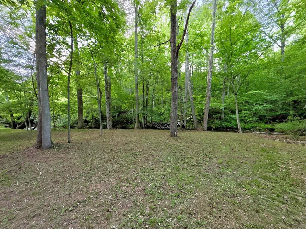 Lt 5 Spiva Cove Road, Blairsville GA 30512 - Photo
