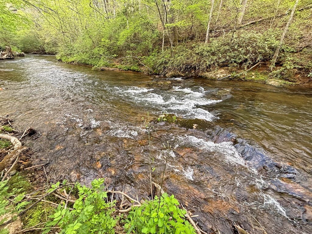 Lt 5 Spiva Cove Road, Blairsville GA 30512 - Photo