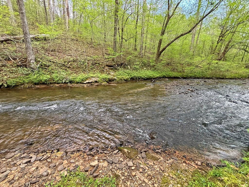 Lt 5 Spiva Cove Road, Blairsville GA 30512 - Photo