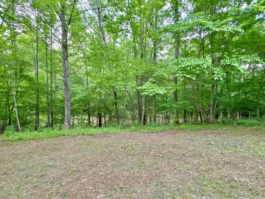 Lt 5 Spiva Cove Road, Blairsville GA 30512 - Photo