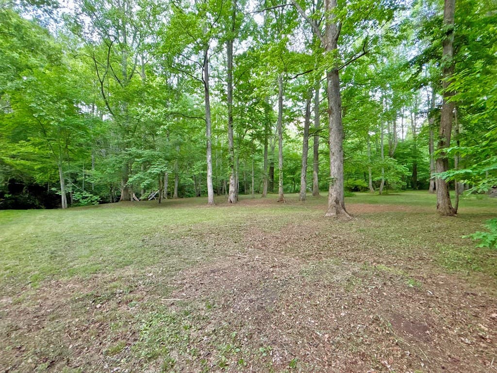 Lt 5 Spiva Cove Road, Blairsville GA 30512 - Photo