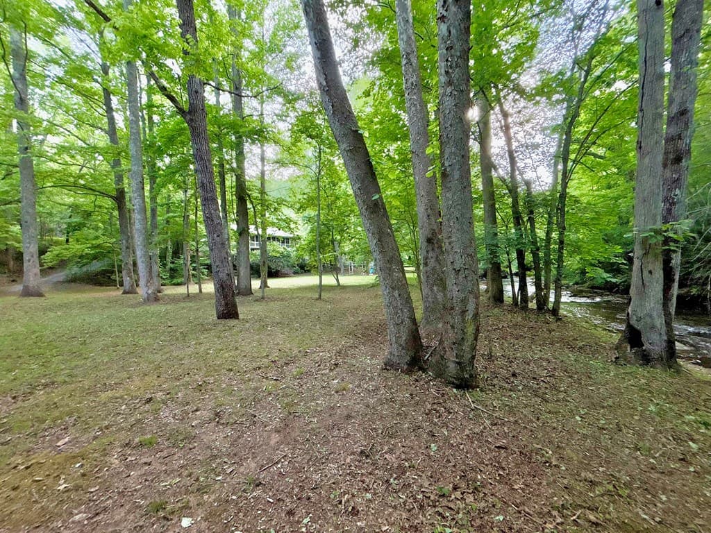 Lt 5 Spiva Cove Road, Blairsville GA 30512 - Photo