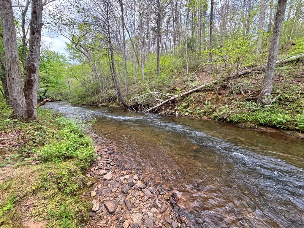 Lt 5 Spiva Cove Road, Blairsville GA 30512 - Photo