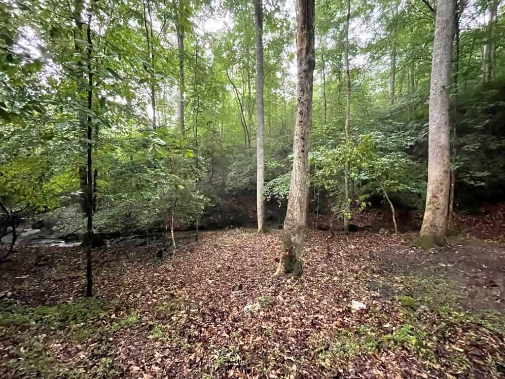 64 Kristin Lane, Ellijay GA 30540 - Photo